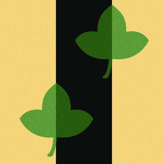 De Lente, Bladeren, Blad, Natuur, Boom