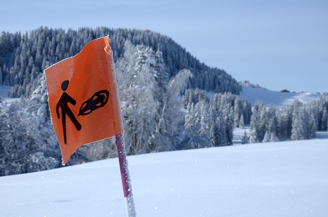 Trilha, Neve, Montanha, Raquetes De Neve