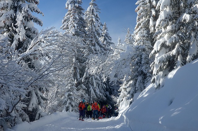 Grupo, Caminhada, Montanha, Neve