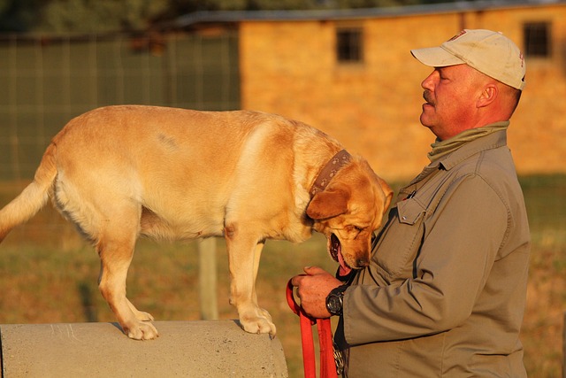 Free Dog Man photo and picture