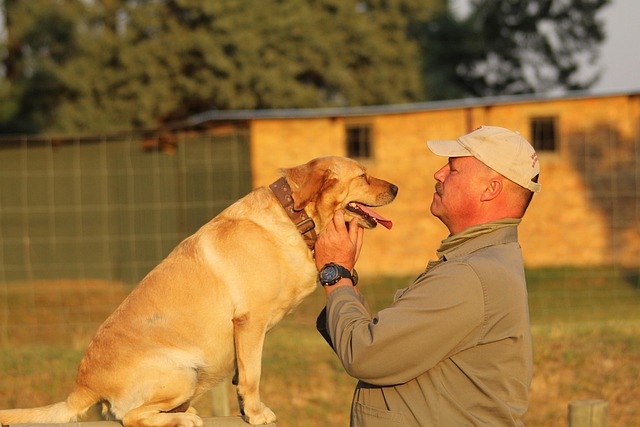 Free Dog Man photo and picture