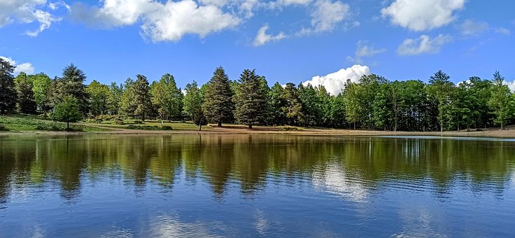 Peisaj, Lac, Copac, Copaci, Pădure