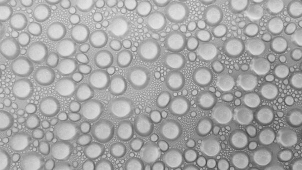 Free Drip Condensation illustration and picture