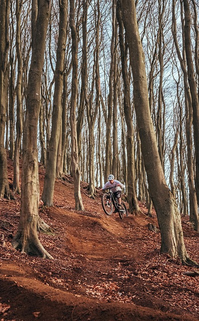 Free Bike Mountain Bike photo and picture