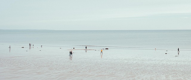 Free Beach People photo and picture