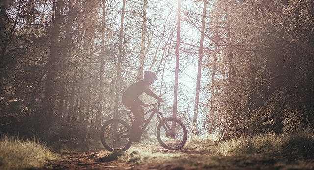 Free Bike Mountain Bike photo and picture