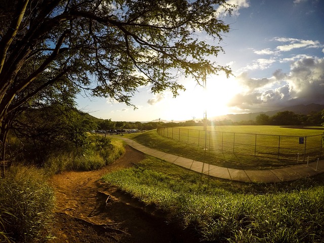 Free Playing Field Sports Ground photo and picture