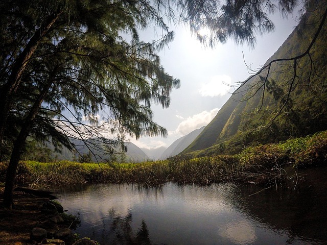 Free Valley Paradise photo and picture