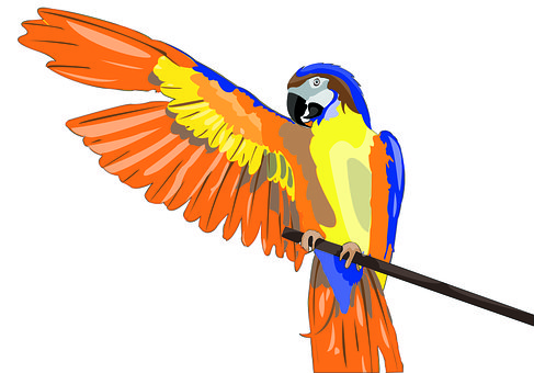 Free Parrot Nature photo and picture