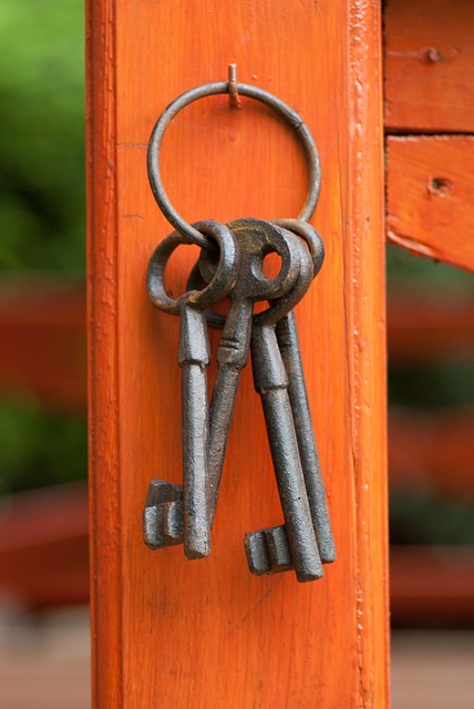 Free Keys Metallic photo and picture