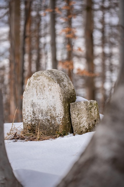 Free Forest Stones photo and picture