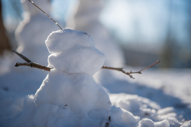 Free Snowman Winter photo and picture