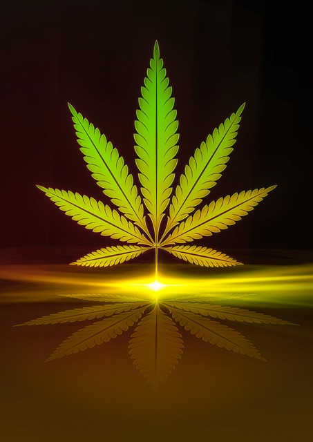 Anlegg, Blad, Lys, Speilbilde, Thc, Hamp