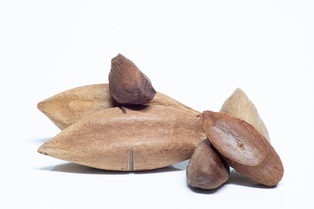 Free Pili Nuts Nuts photo and picture