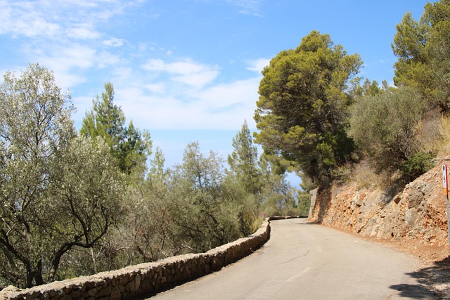 Free Mountain Road photo and picture