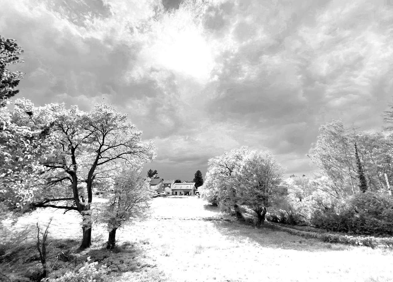 mood-landscape-clouds-free-photo-on-pixabay-pixabay