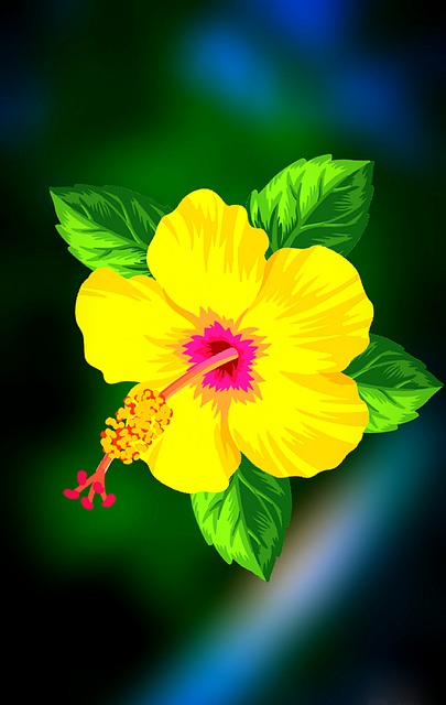 Free hibiscus flower plant illustration