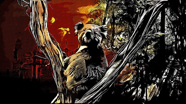 Free Environment Koala photo and picture