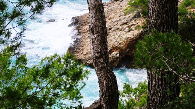 Free Sea Wave photo and picture