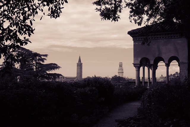 Free Verona Panorama photo and picture