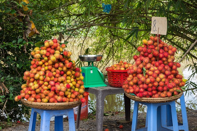 Free Rambutan Fruit photo and picture