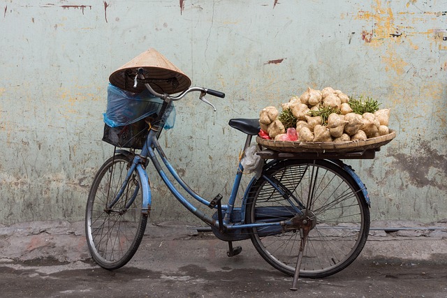 Free Vietnam Bike photo and picture