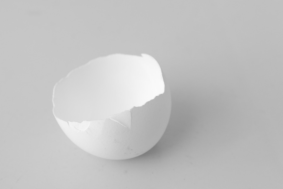 Egg Broken Shell Free photo on Pixabay Pixabay