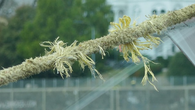 Free Rope Dew photo and picture