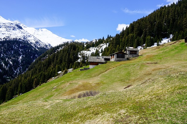 Campo, Colinas, Cabines, Alpino