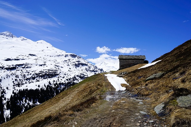 Campo, Colinas, Cabines, Alpino