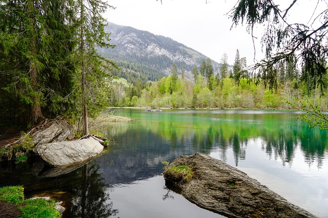 Lago, Floresta, Névoa, Montanhas