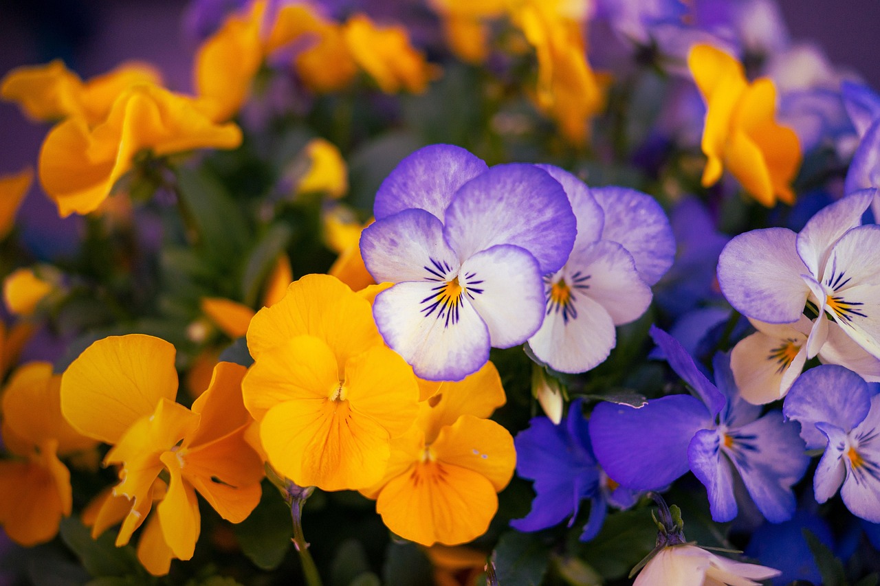 TRESXICS Wandaufkleber Kirschblüten (Aquarell, Blau) – 18 Blumen & 15 Blätter, Vinyl