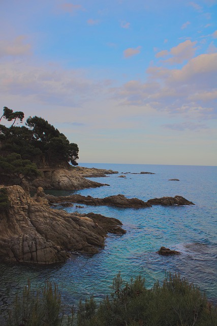 Free Beach Sea photo and picture