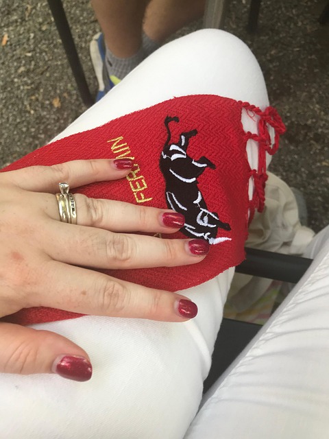 San Fermin, Spanien, Pamplona, Bullen