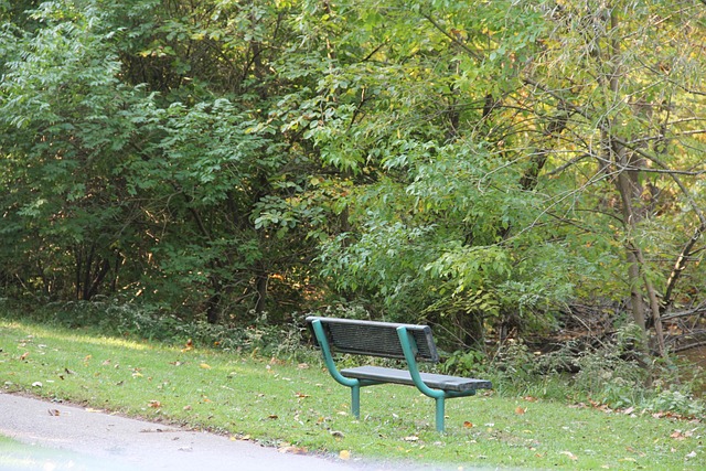 Free Bench Outside photo and picture