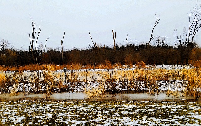 Free Field Modified photo and picture