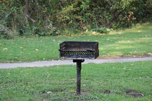 Free Park Grill photo and picture