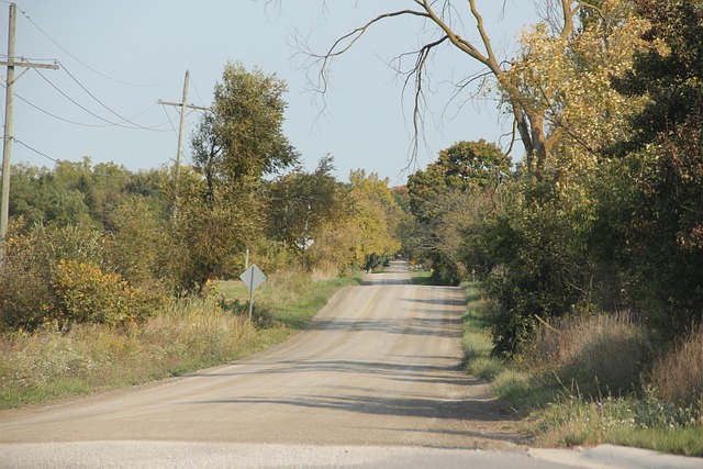 Free Road Country Road photo and picture