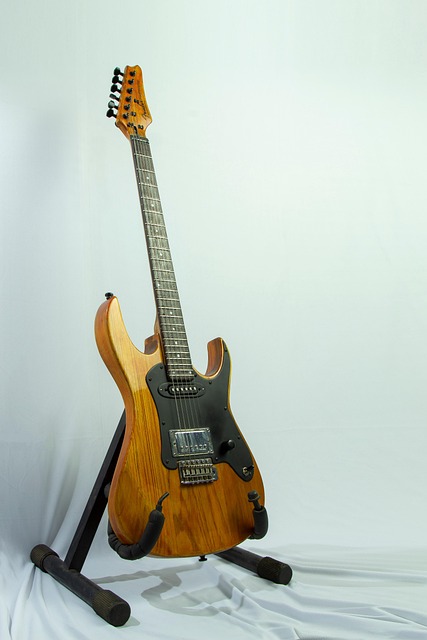 Free Guitar Ibanez photo and picture