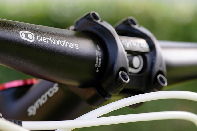 Free Mountain Bike Mtb photo and picture