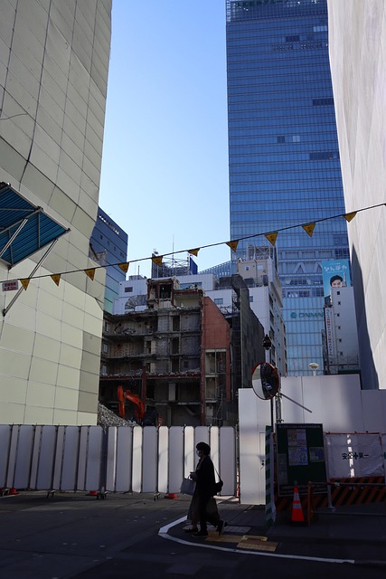 Free Tokyo Yaesu photo and picture