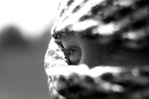Free Tuareg Palestine photo and picture