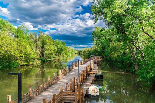 Pier, Promenade, Donau, Een Rivier, Bos