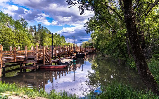 Pier, Promenade, Donau, Een Rivier, Bos