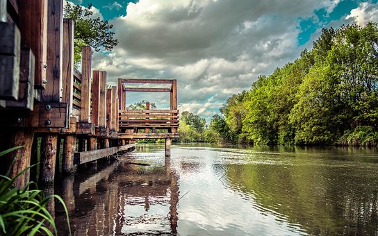 Pier, Promenade, Donau, Een Rivier, Bos