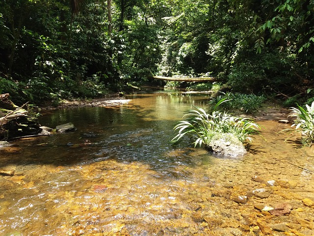Free Backwater River photo and picture