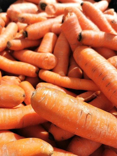 Free Carrot Vegetables photo and picture