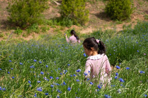 Free Flower Bush Little Girl photo and picture