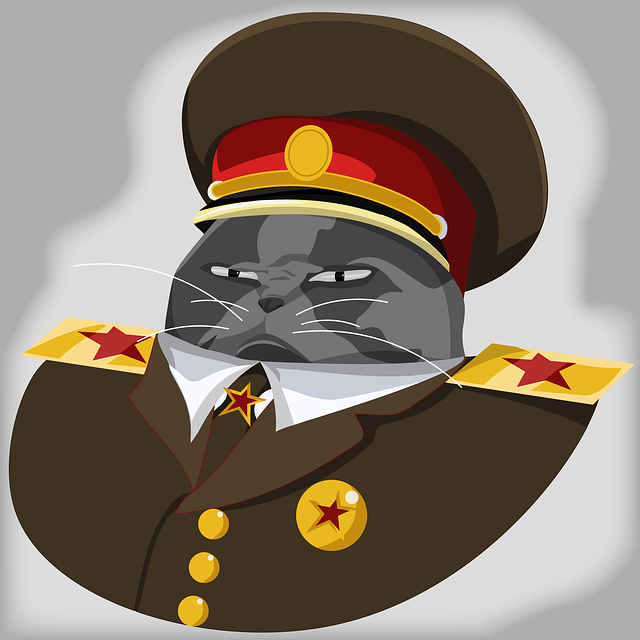 Free cat warlord chinese warlord illustration