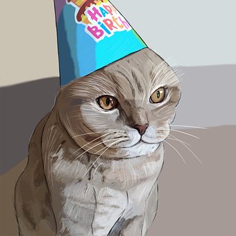 Katten, Gratulerer Med Dagen, Tegning